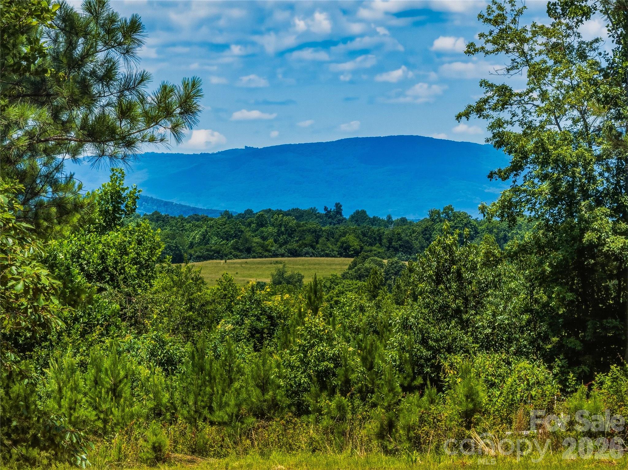6783 Peniel Road Property Photo 23