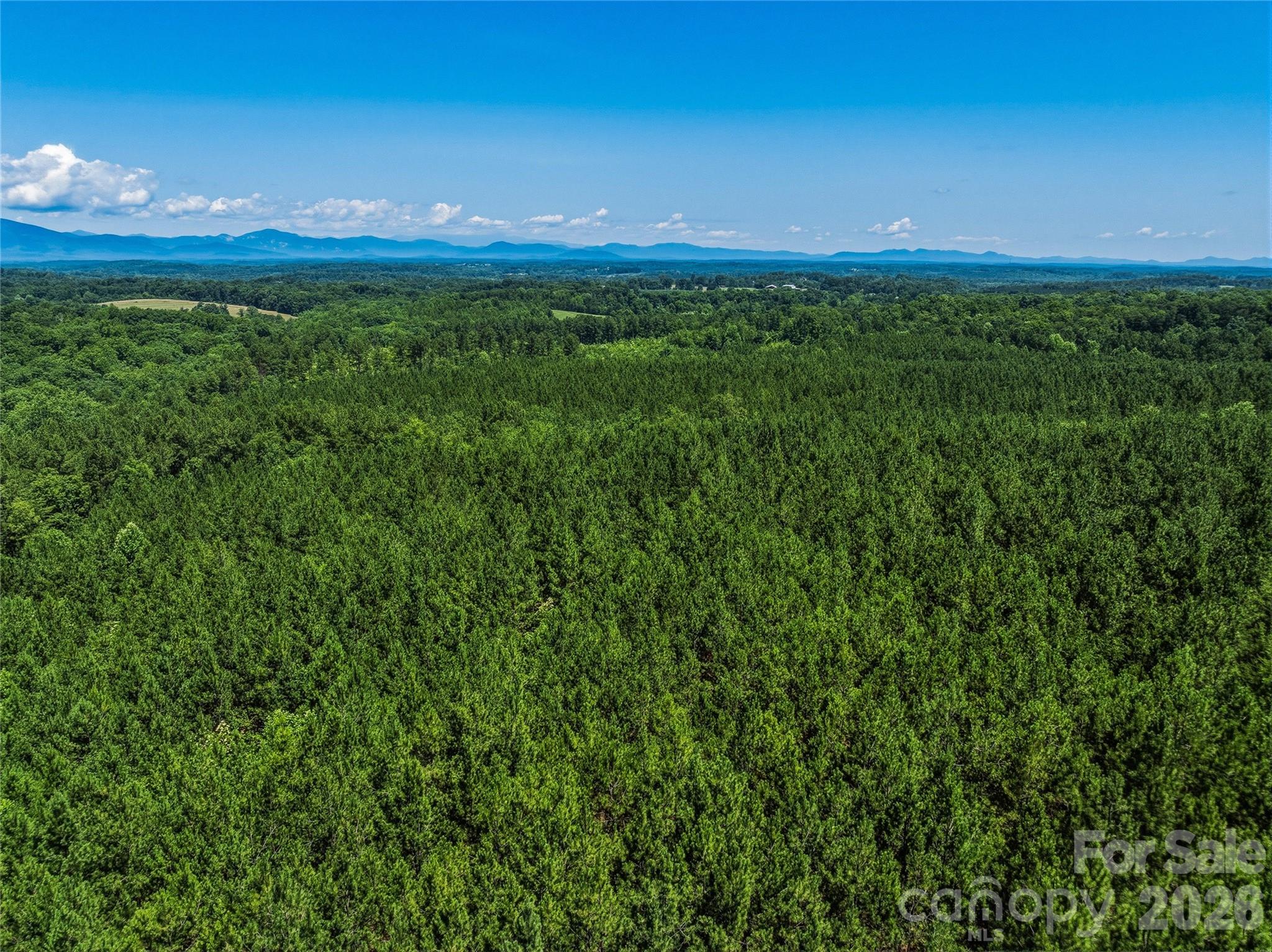 6783 Peniel Road Property Photo 26