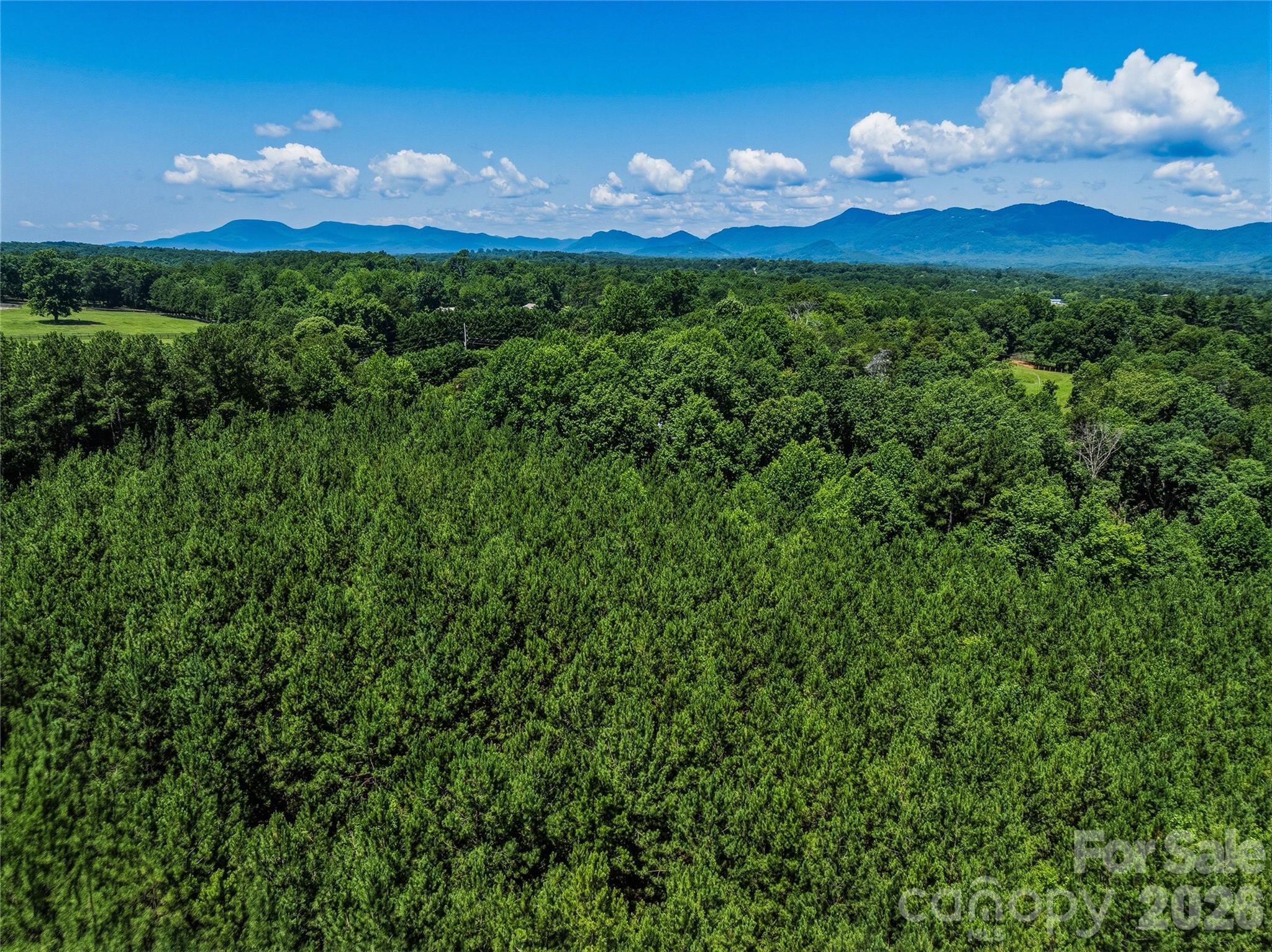 6783 Peniel Road Property Photo 30