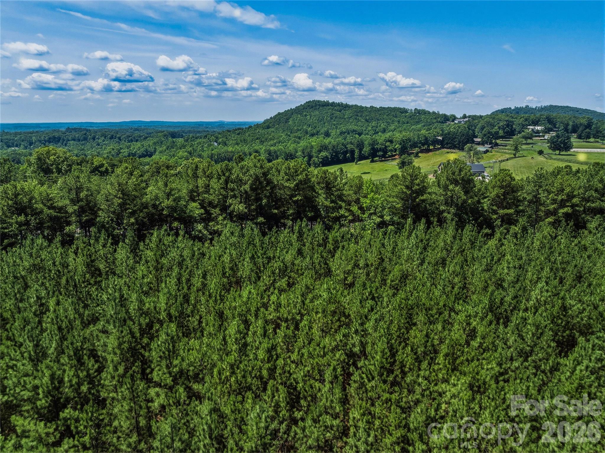 6783 Peniel Road Property Photo 31