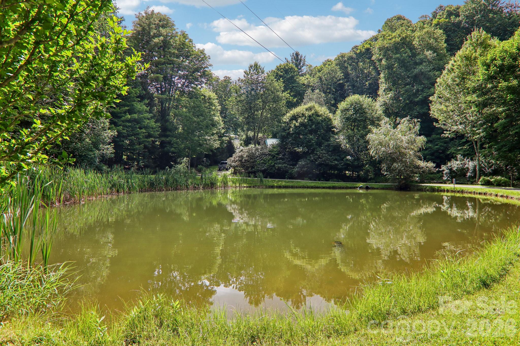 251 Village Lane Property Photo 45