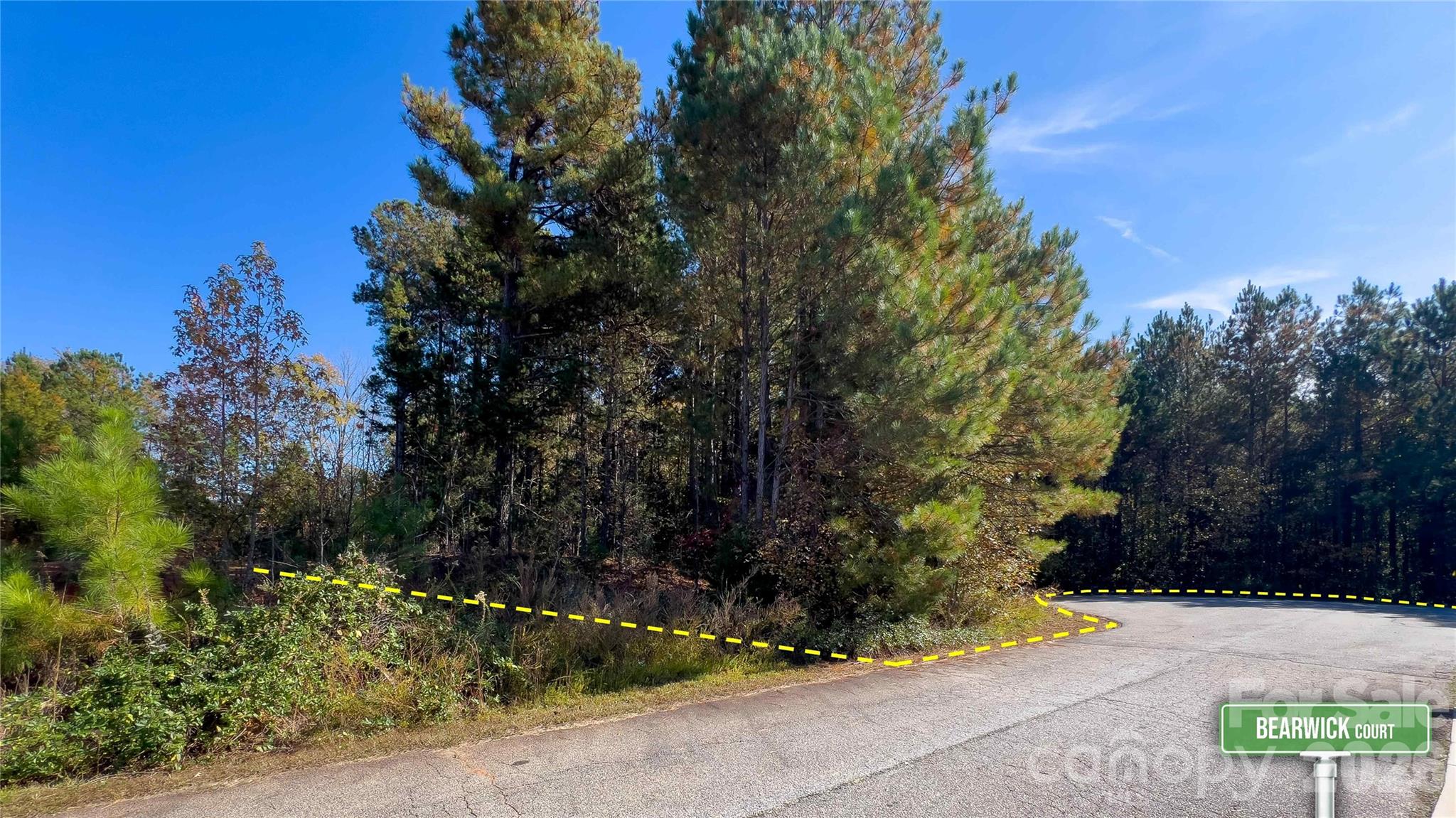 1120 Bearwick Court Property Photo 12
