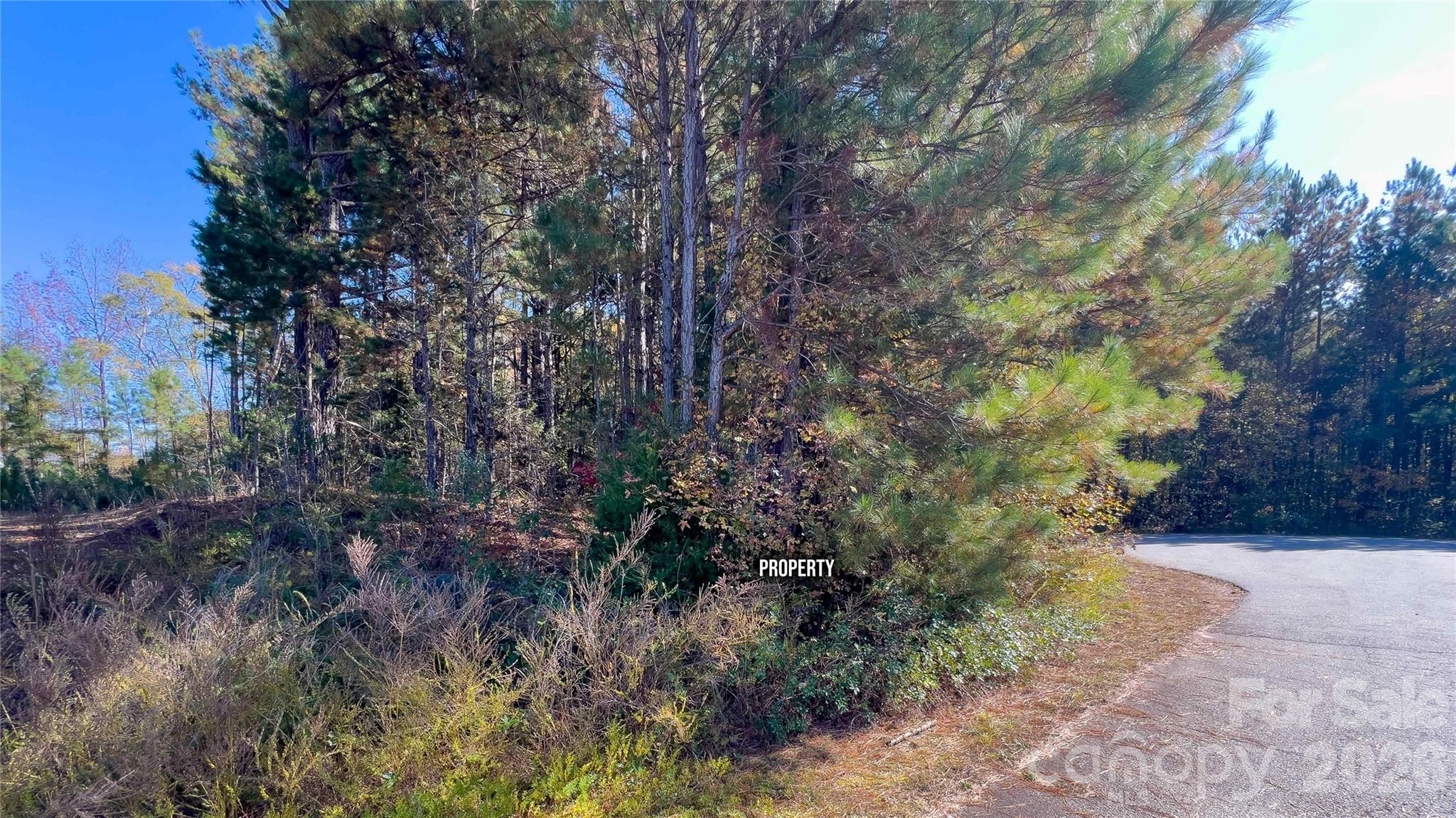 1120 Bearwick Court Property Photo 14