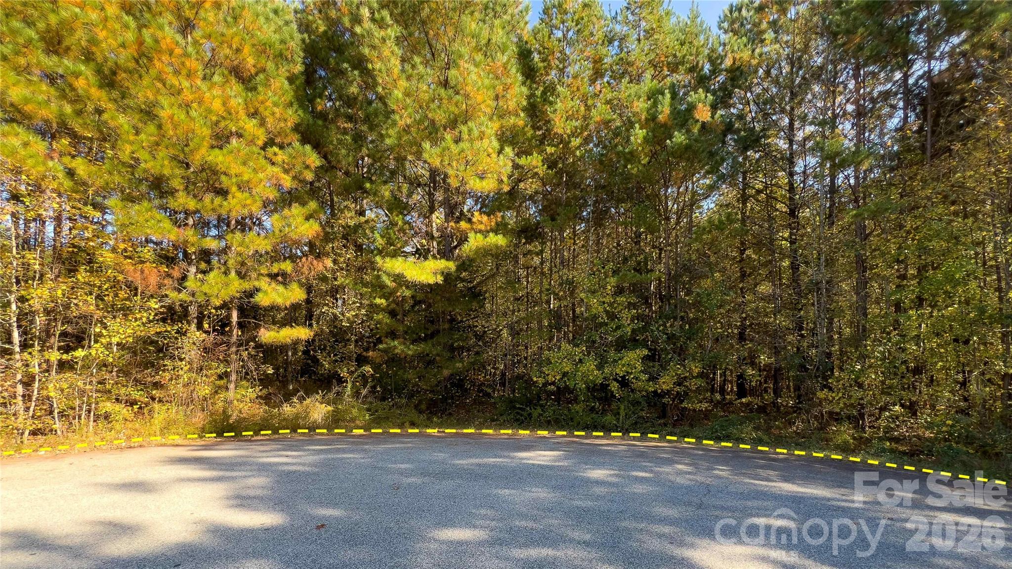 1120 Bearwick Court Property Photo 16