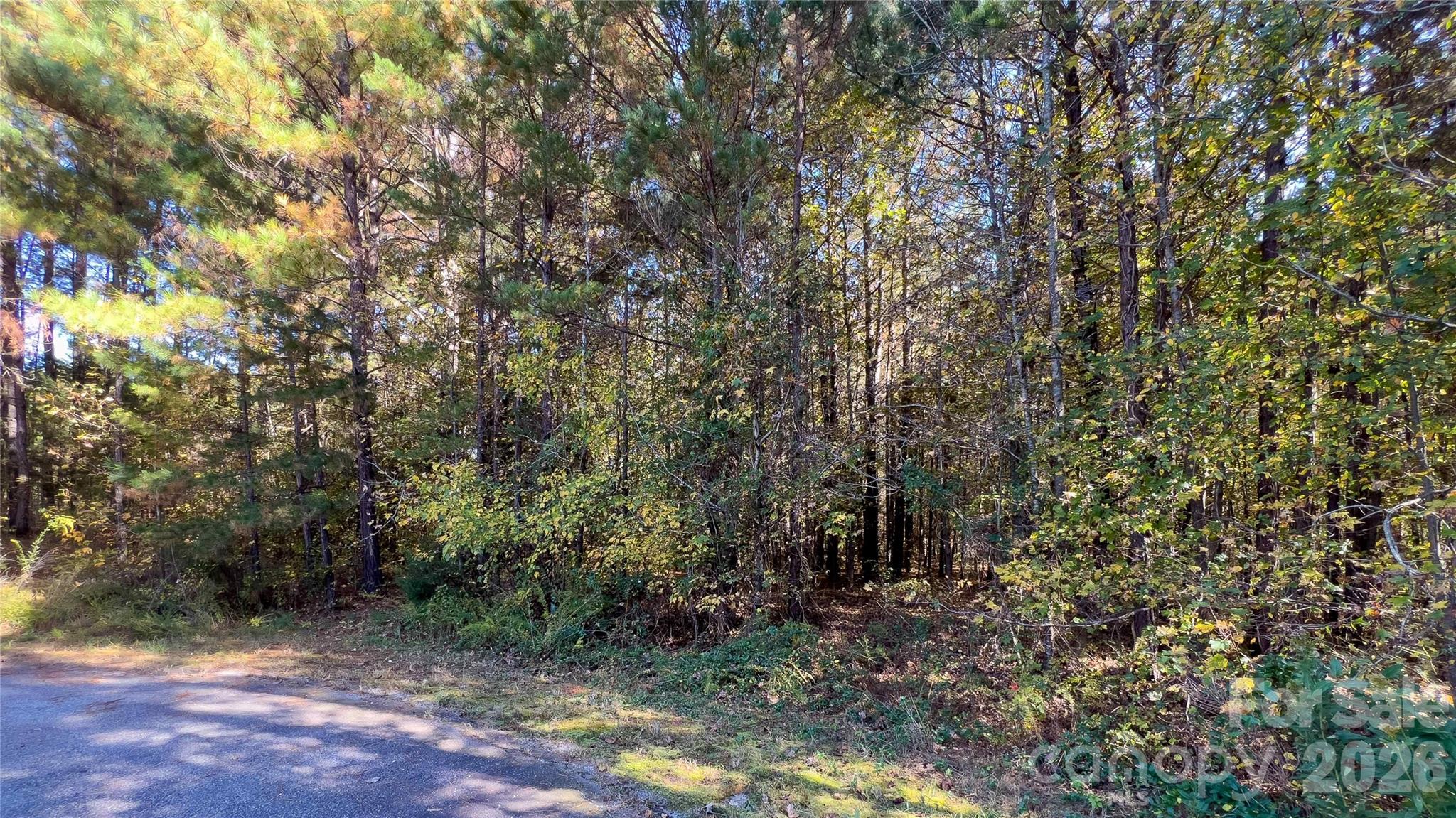 1120 Bearwick Court Property Photo 18