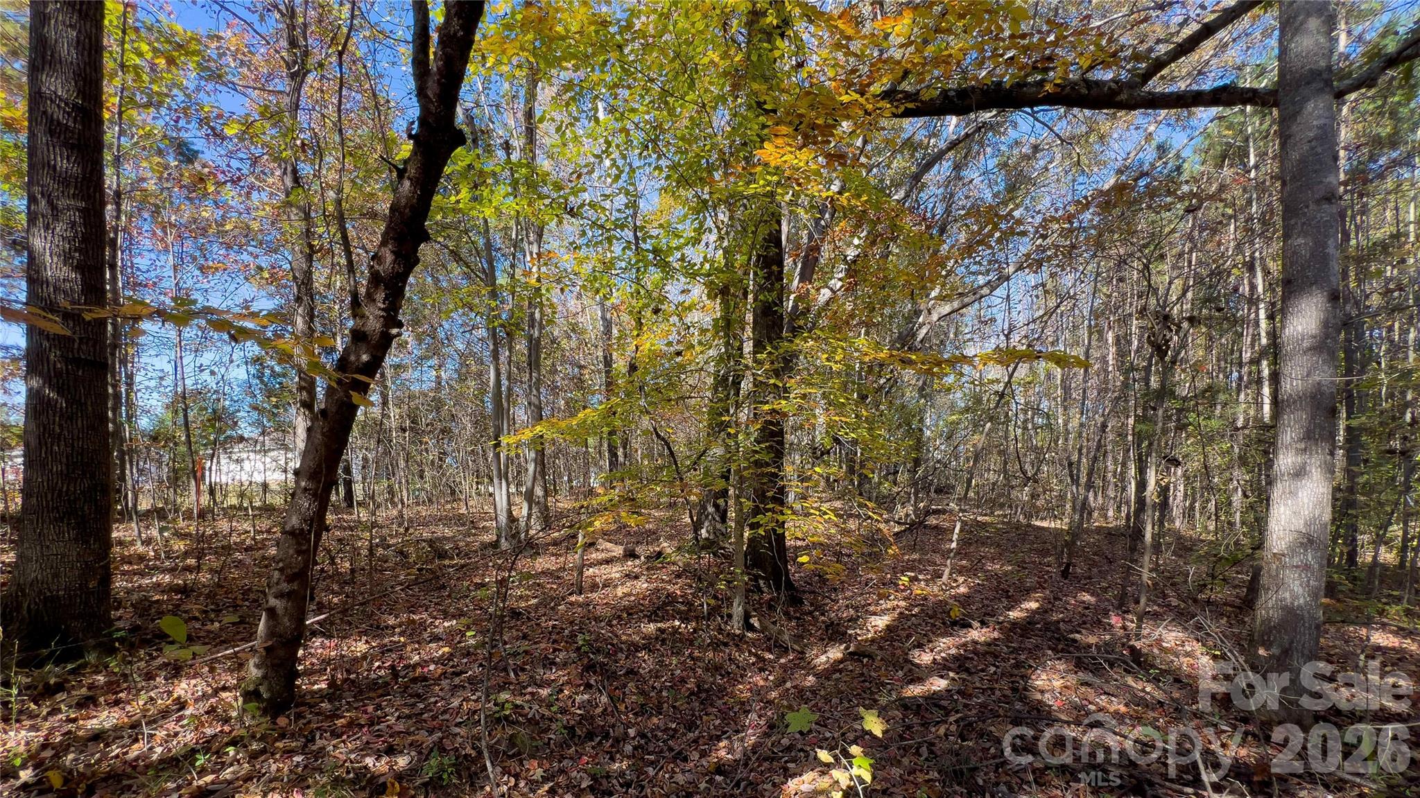1120 Bearwick Court Property Photo 20