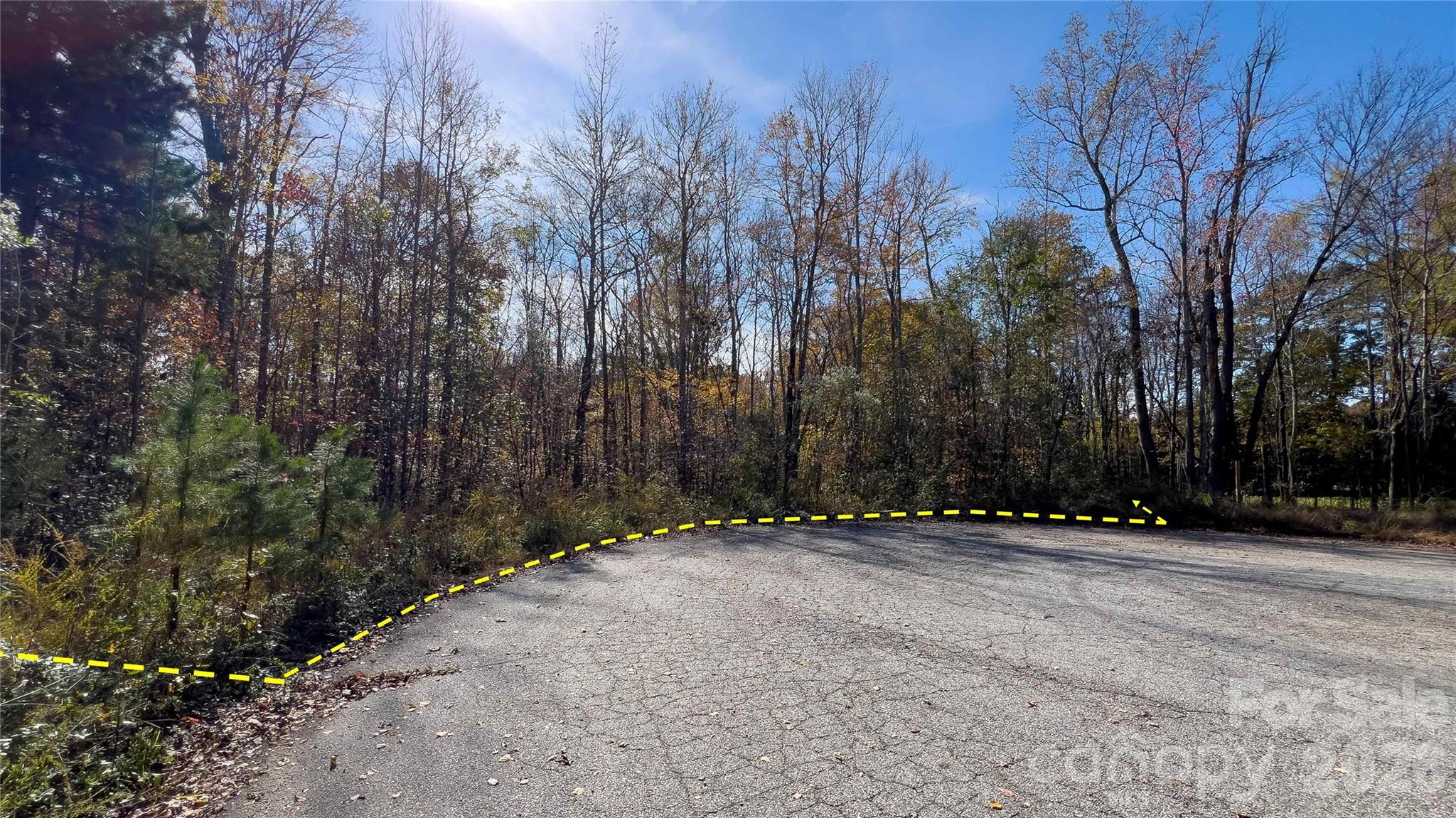 1120 Bearwick Court Property Photo 33