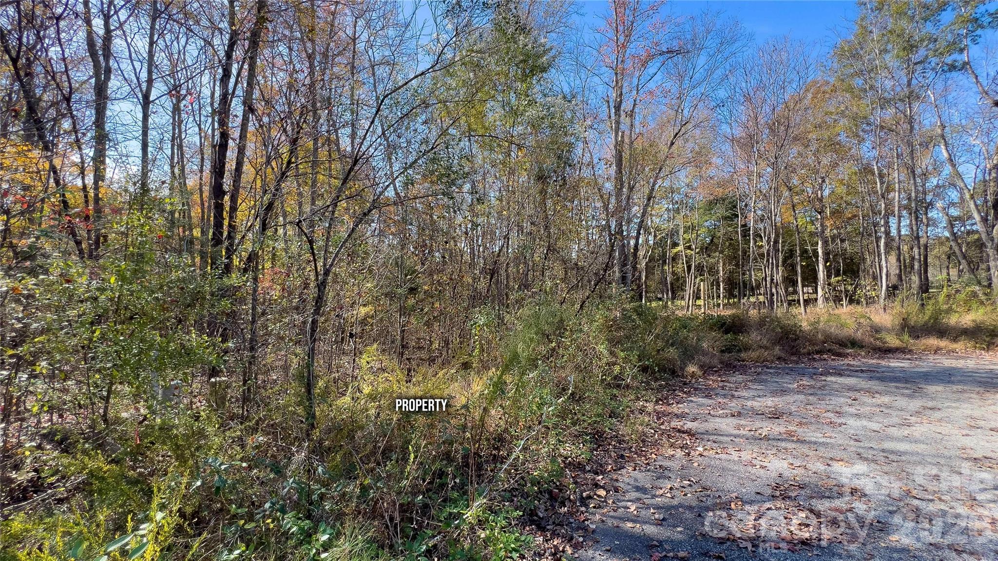 1120 Bearwick Court Property Photo 34