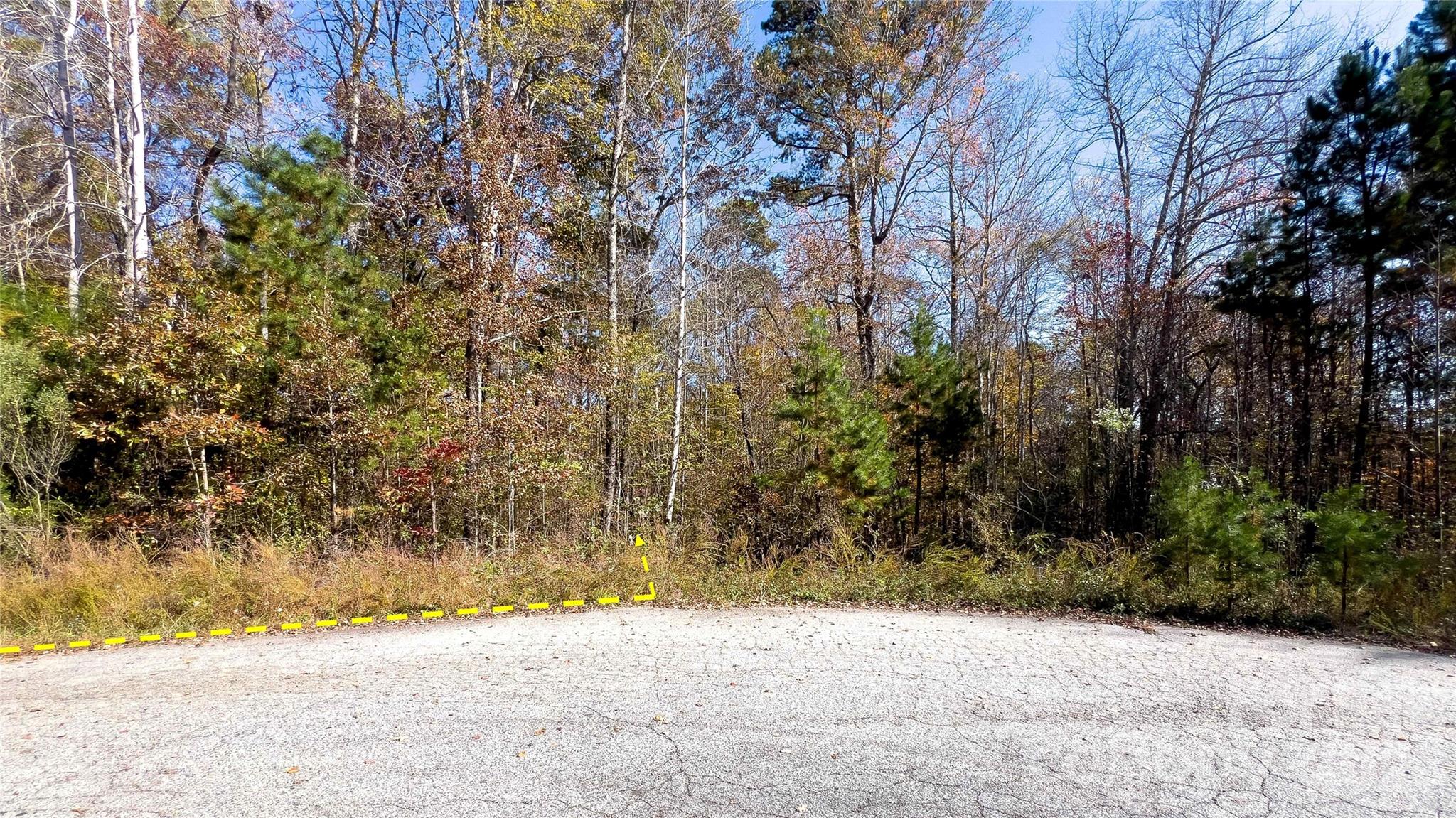 1120 Bearwick Court Property Photo 37
