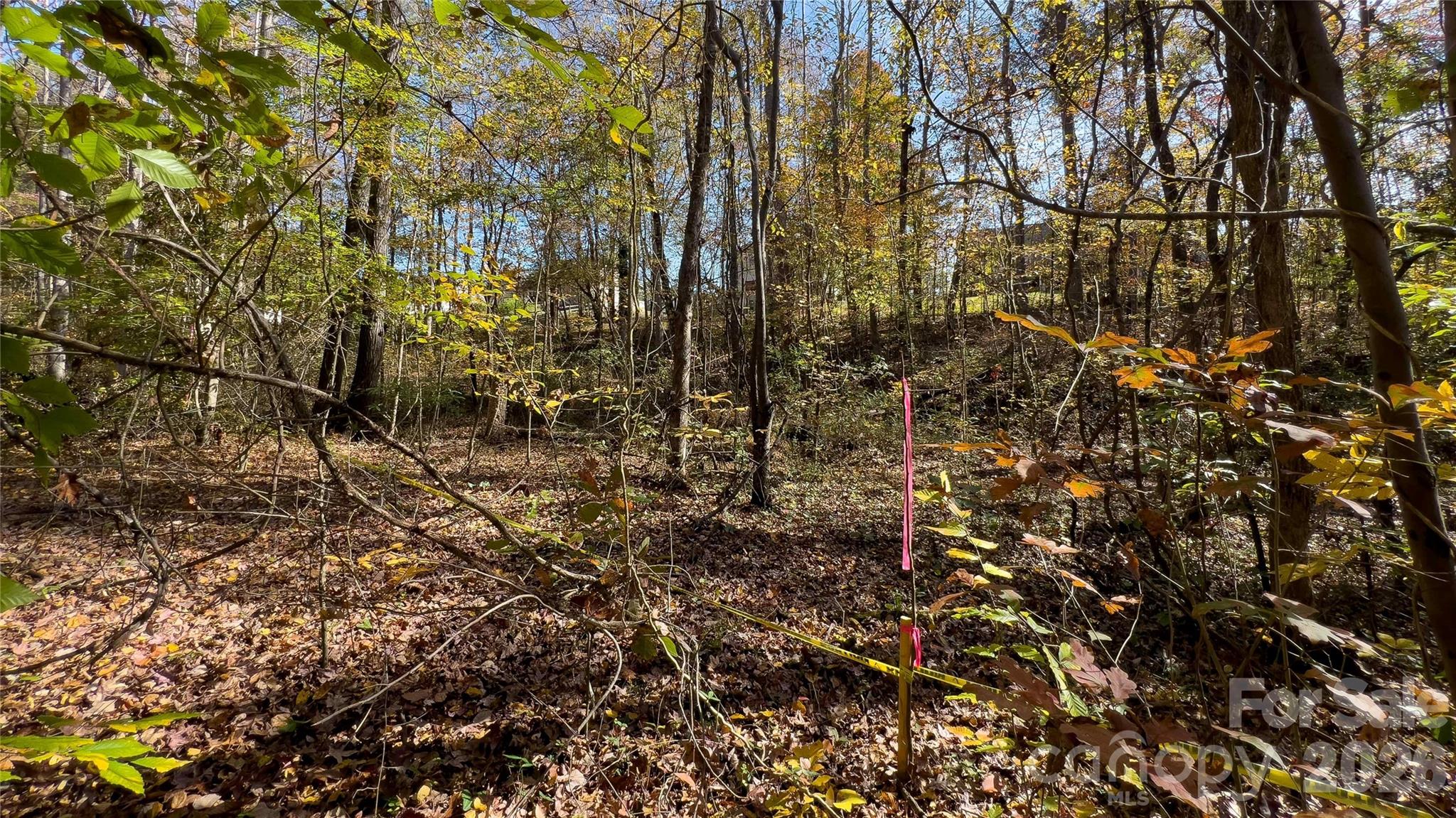 1120 Bearwick Court Property Photo 40
