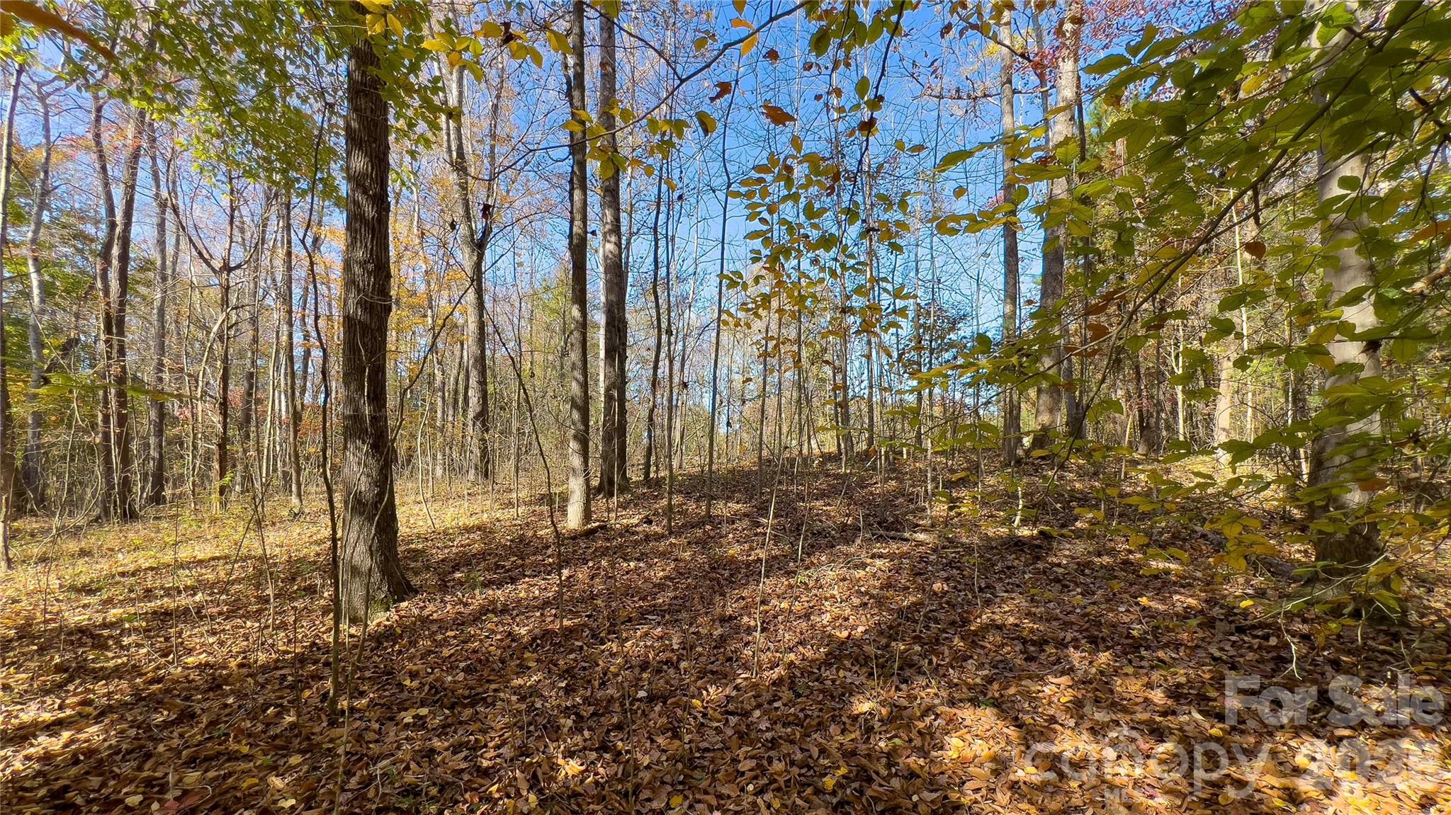 1120 Bearwick Court Property Photo 41