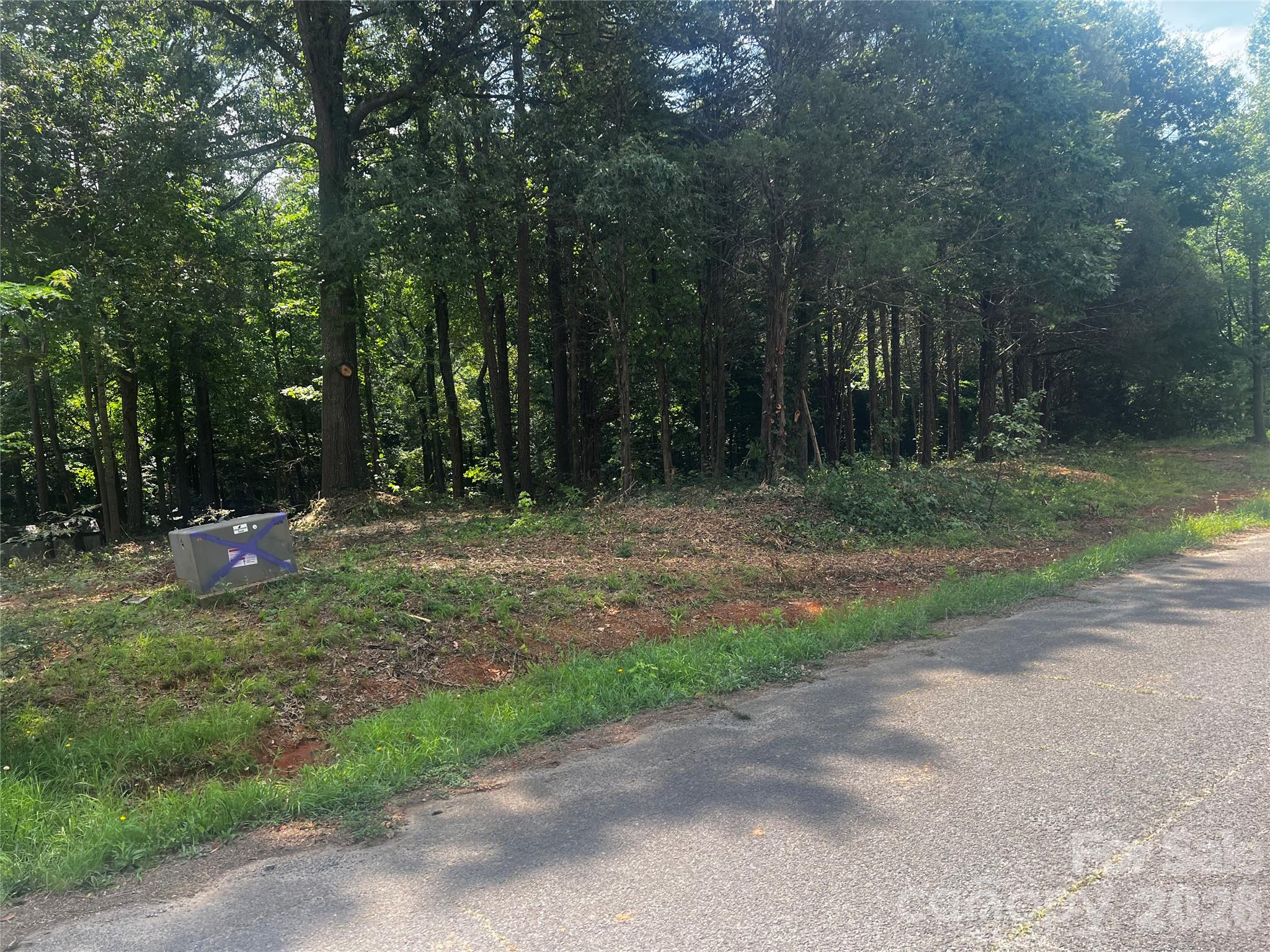 10376 Turnplow Drive 9 Property Photo 2