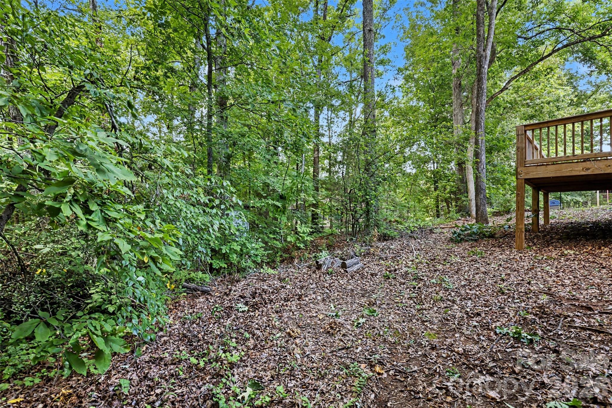 308 Kershaw Street Property Photo 28