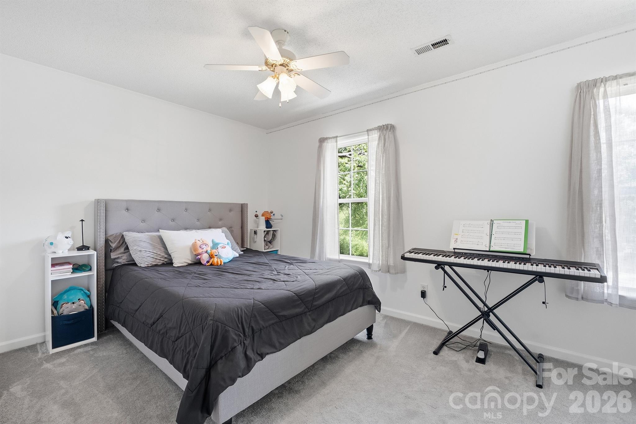 6421 Whitewater Drive Property Photo 19