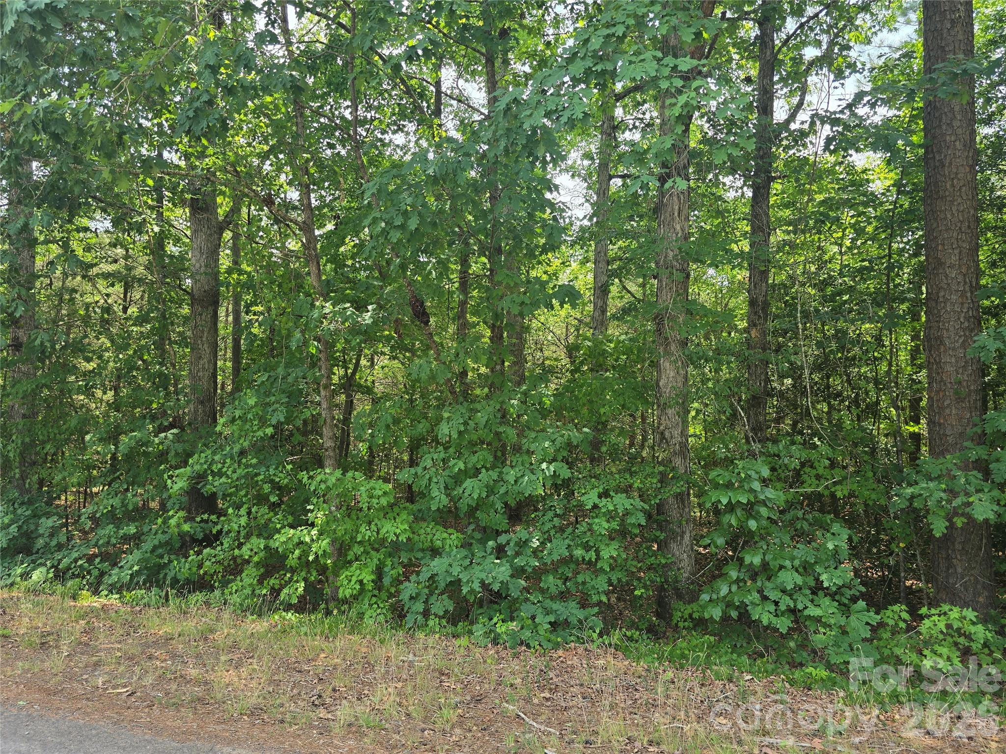 385 Dennis Road Property Photo 2