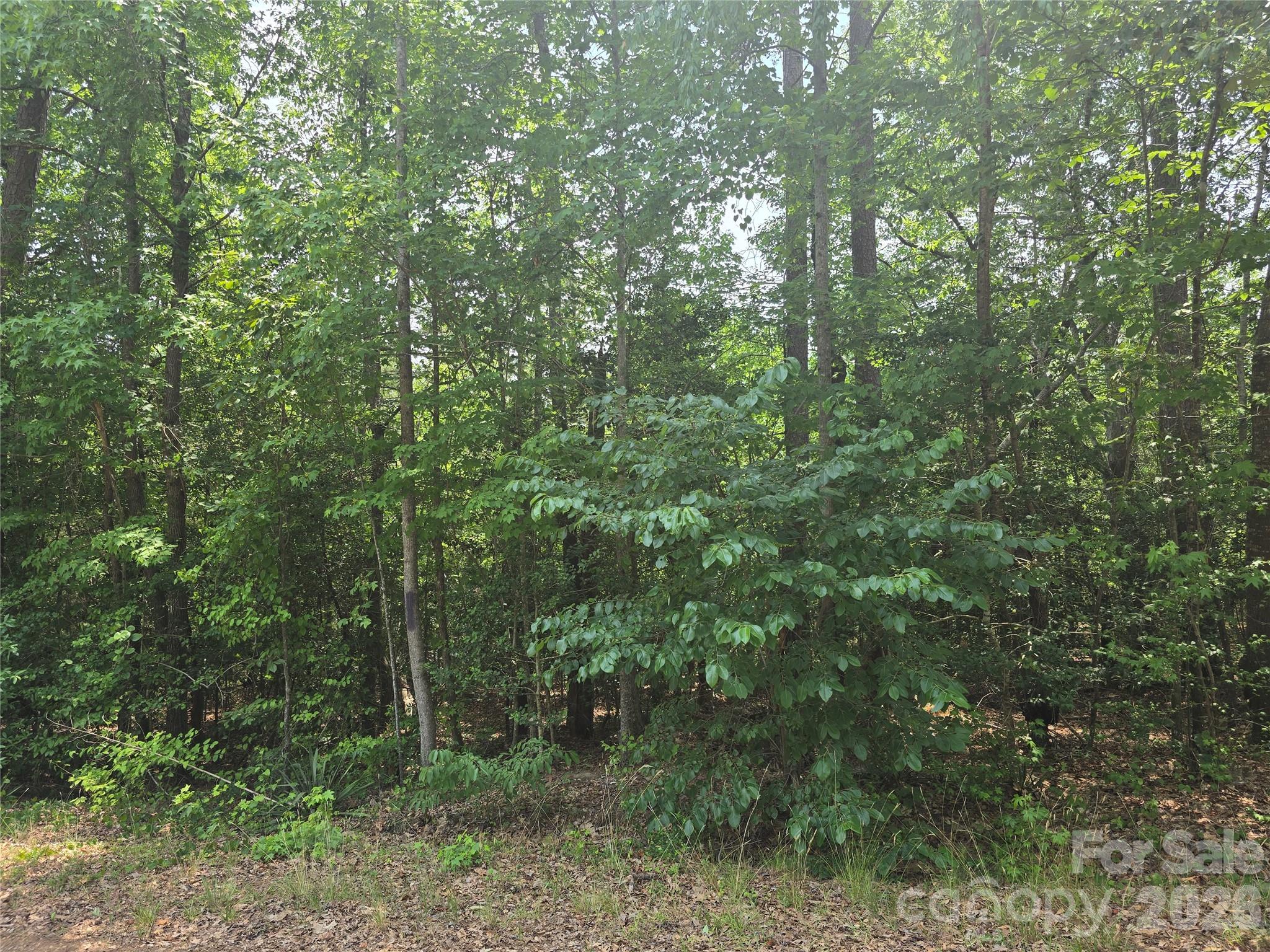 385 Dennis Road Property Photo 3