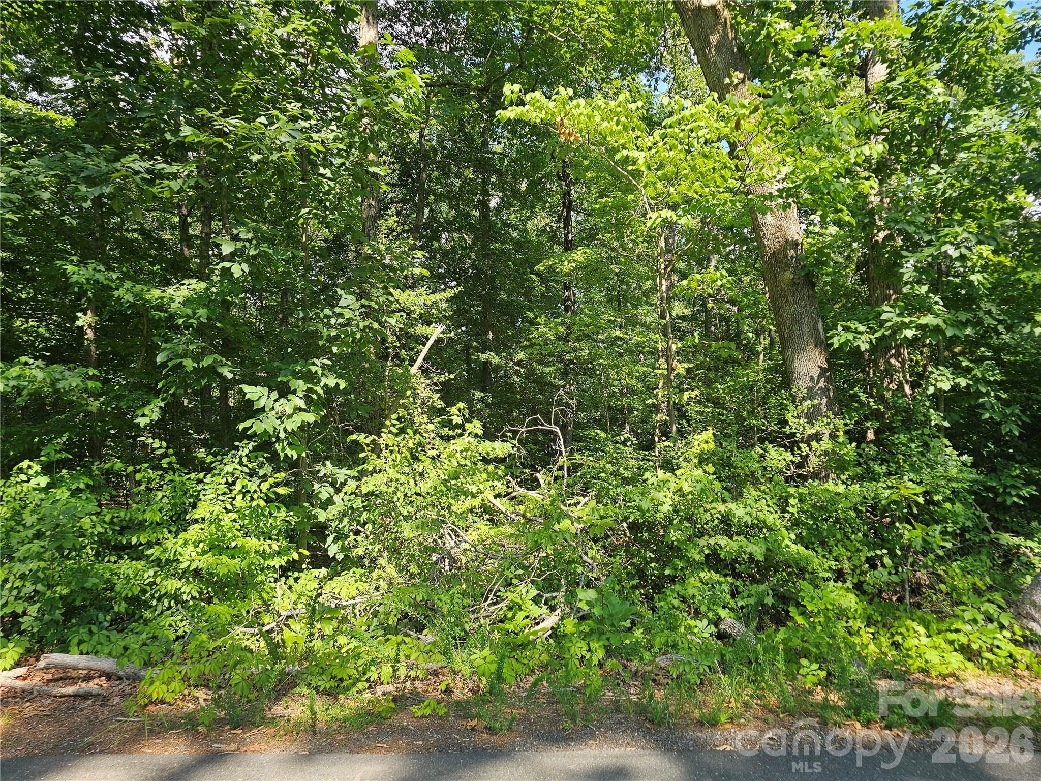 0 Golfers Drive 3 Property Photo 1