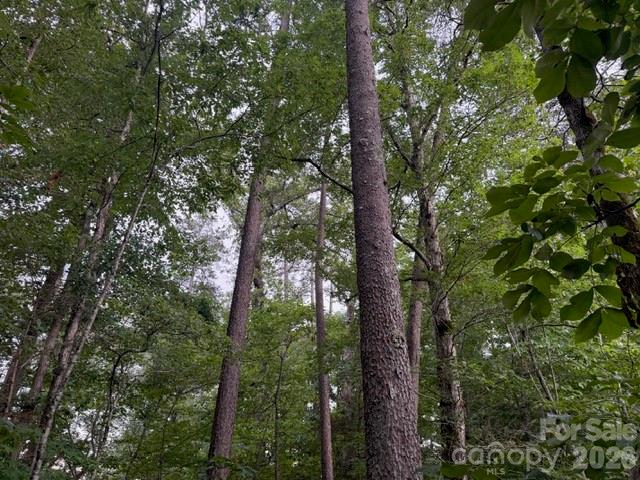 9999 Bill Collins Road Property Photo 10
