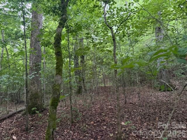 9999 Bill Collins Road Property Photo 12