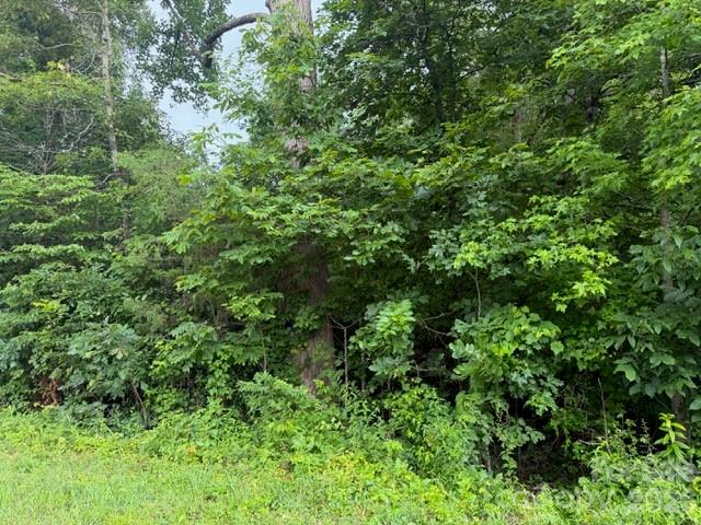 9999 Bill Collins Road Property Photo 14