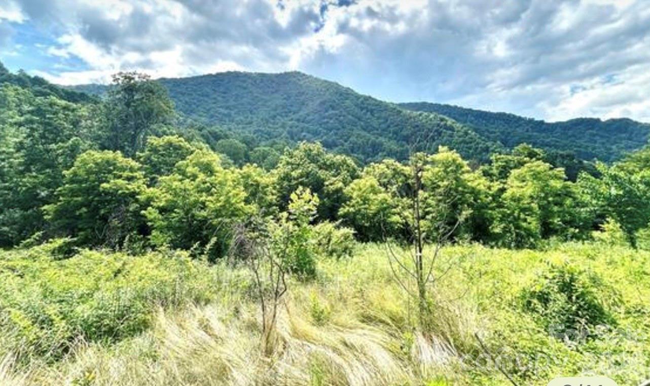 00 Split Pine Cove Property Photo 1
