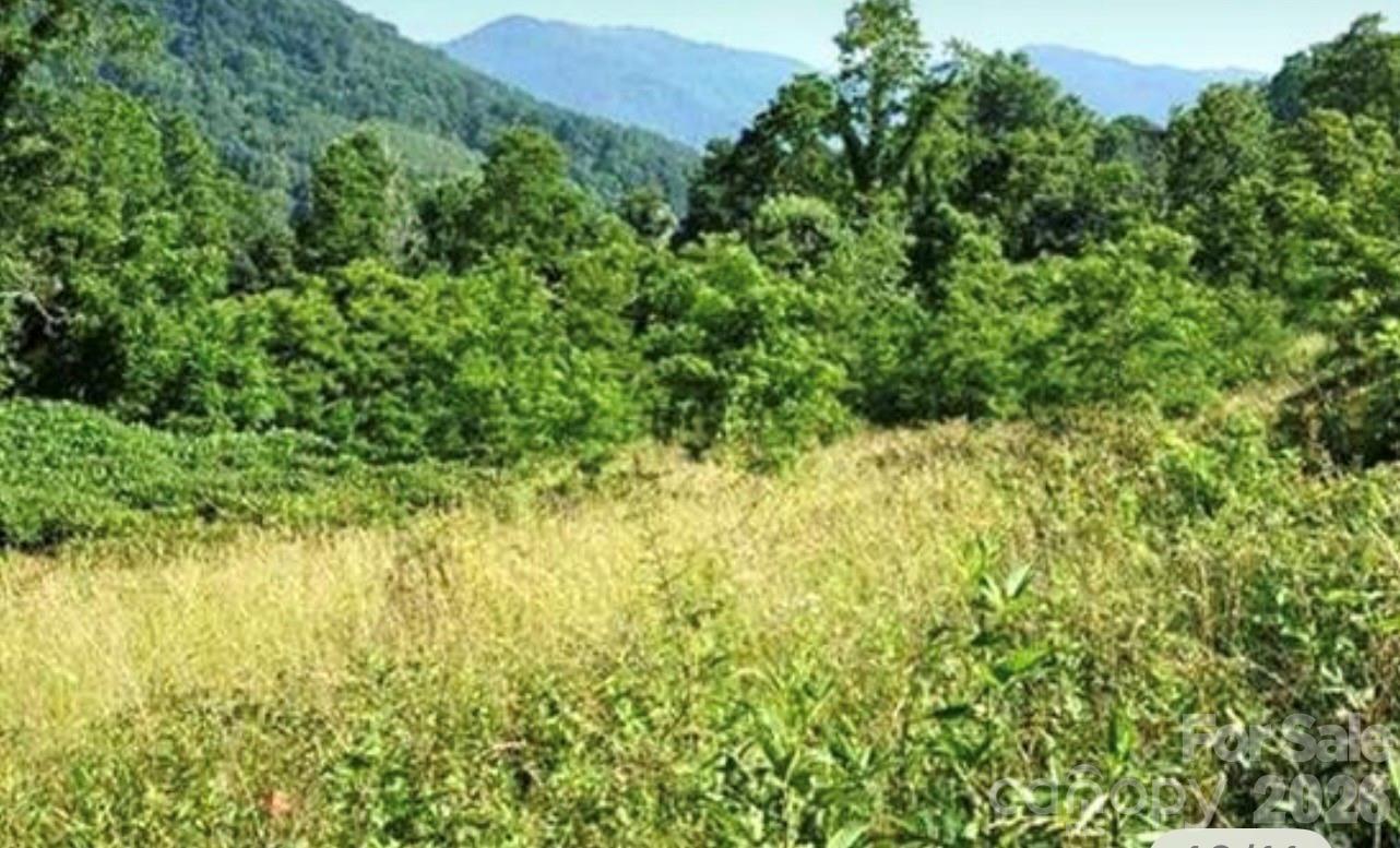 00 Split Pine Cove Property Photo 2