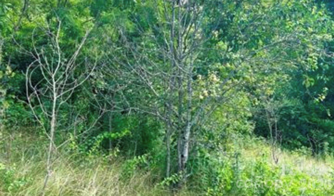 00 Split Pine Cove Property Photo 3