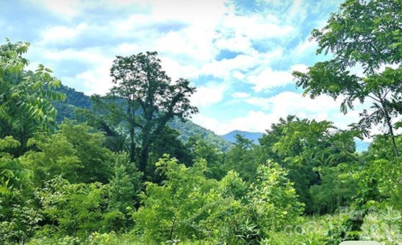 00 Split Pine Cove Property Photo 4
