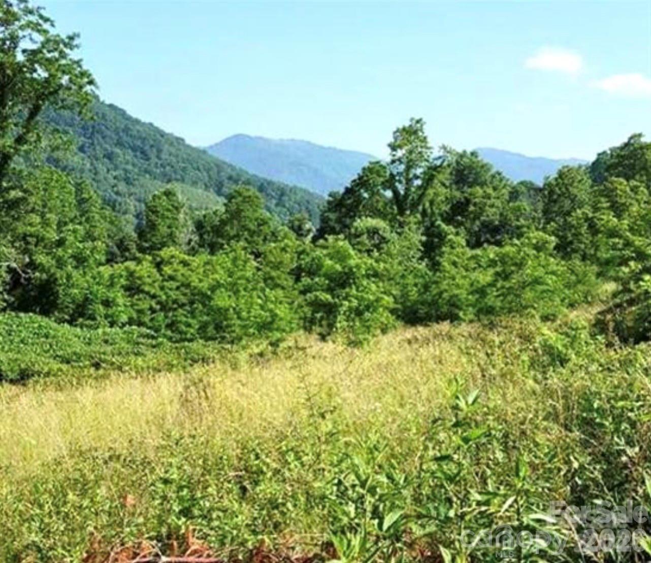 00 Split Pine Cove Property Photo 5