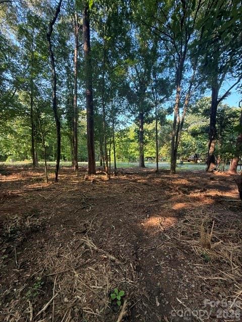 11219 Johnson Davis Road Property Photo 2