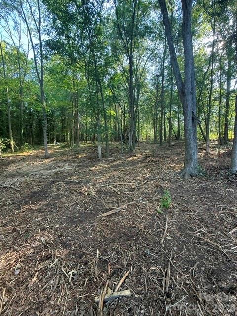 11219 Johnson Davis Road Property Photo 3