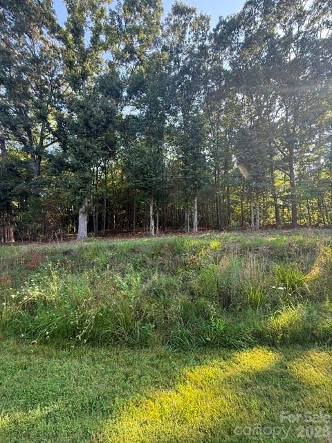 11219 Johnson Davis Road Property Photo 5