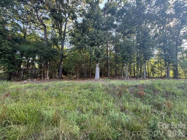 11219 Johnson Davis Road Property Photo 7