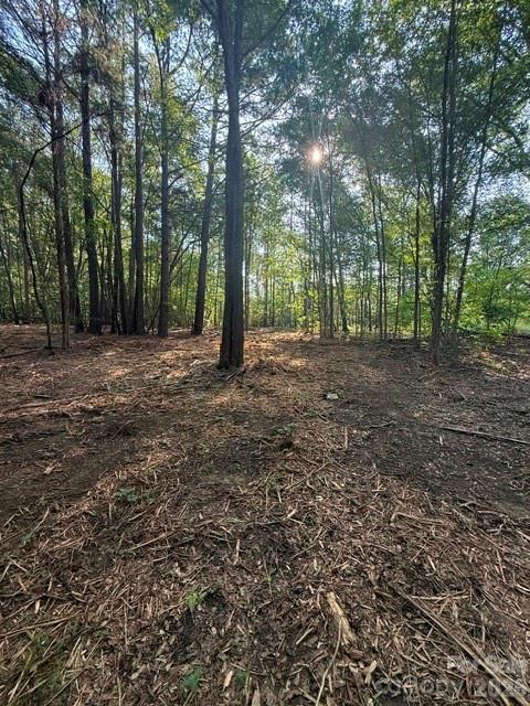11219 Johnson Davis Road Property Photo 10