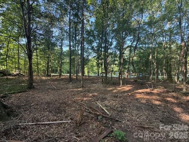 11219 Johnson Davis Road Property Photo 11