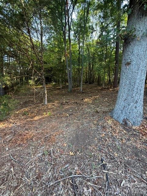 11219 Johnson Davis Road Property Photo 12