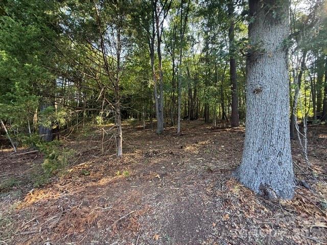 11219 Johnson Davis Road Property Photo 13