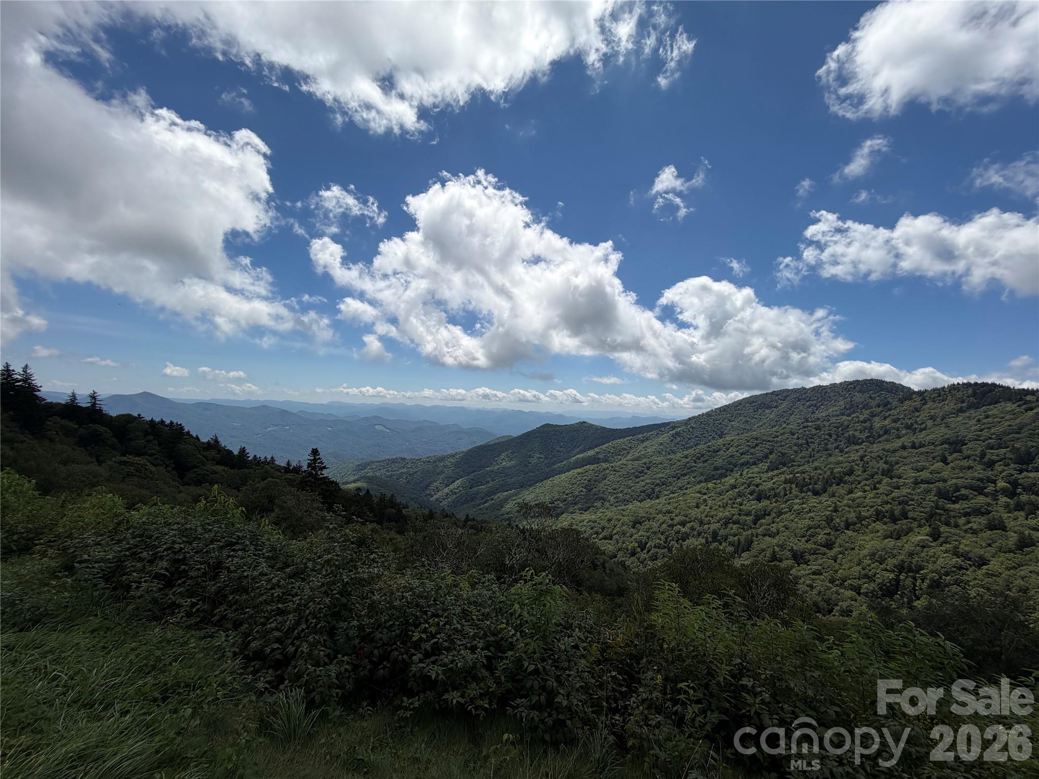 64 Big Spruce Lane Property Photo 47