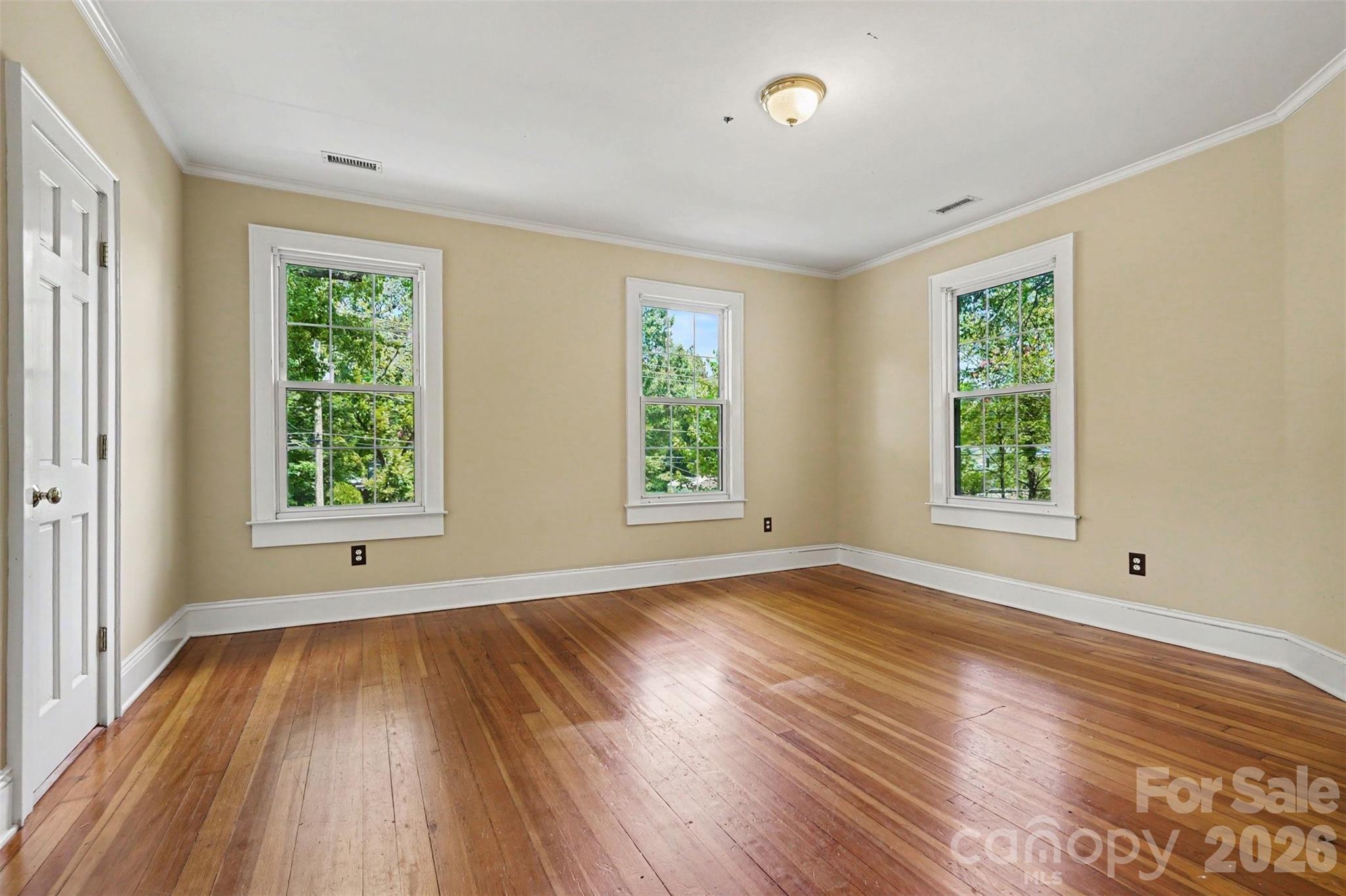 313 Gold Street Property Photo 6