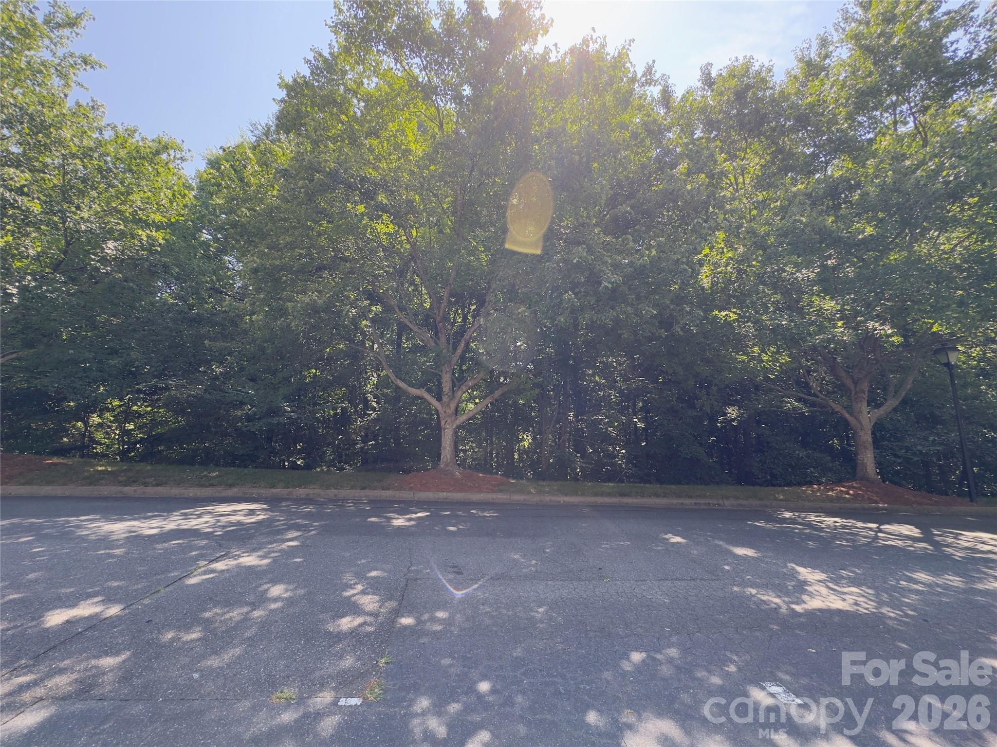 3103 Summercroft Lane Property Photo 42