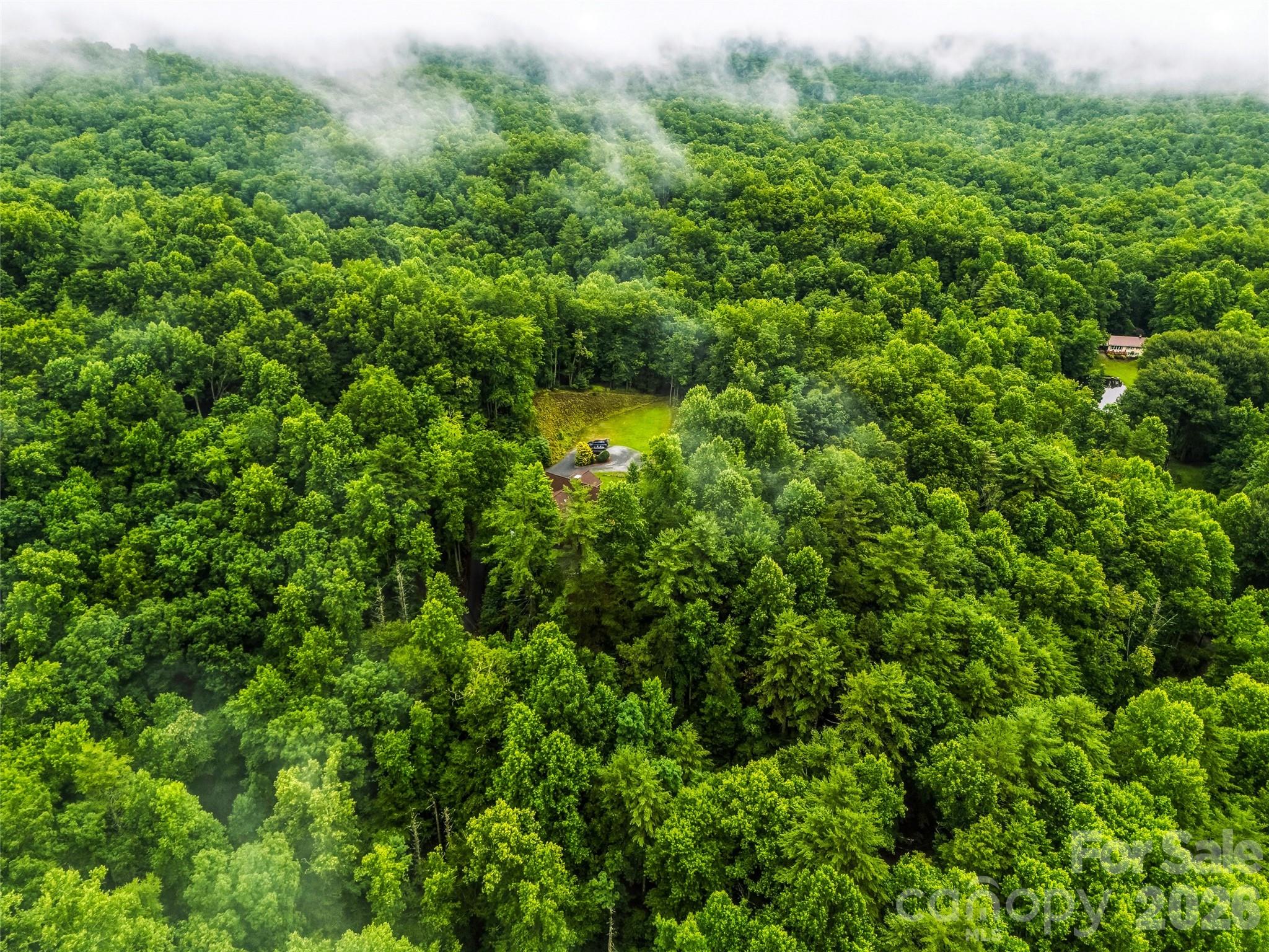 280 Laurel Creek Property Photo 43