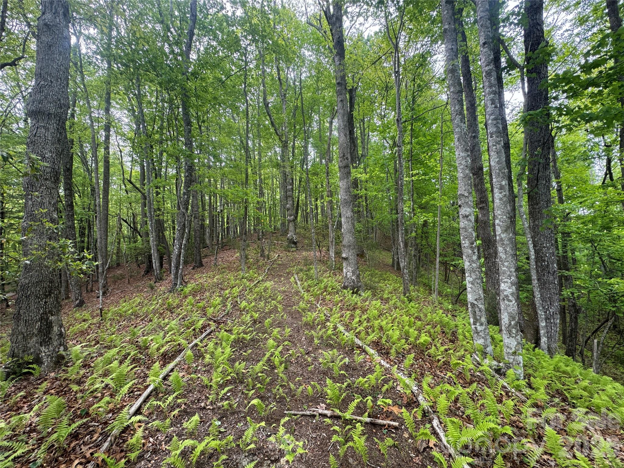 280 Laurel Creek Property Photo 45