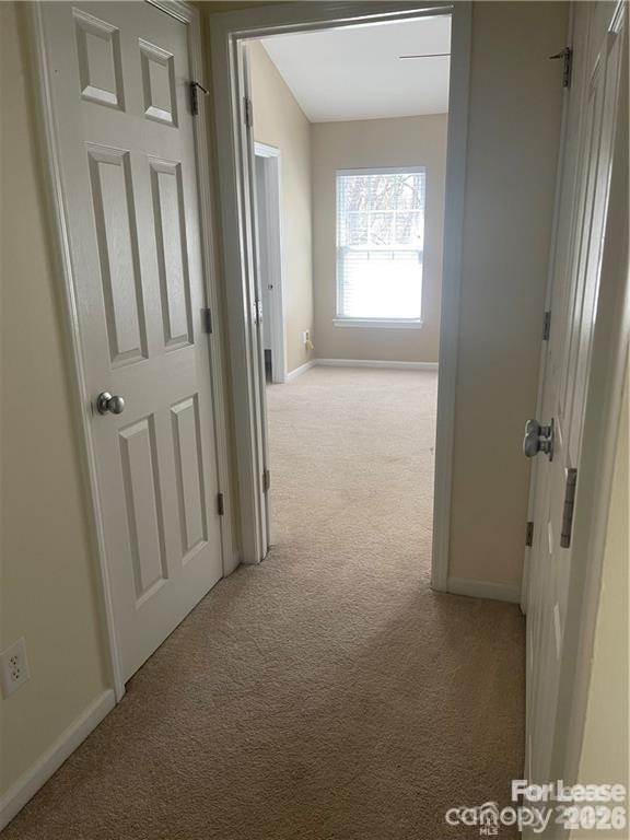 11917 Stratfield Place Circle 118 Property Photo 20