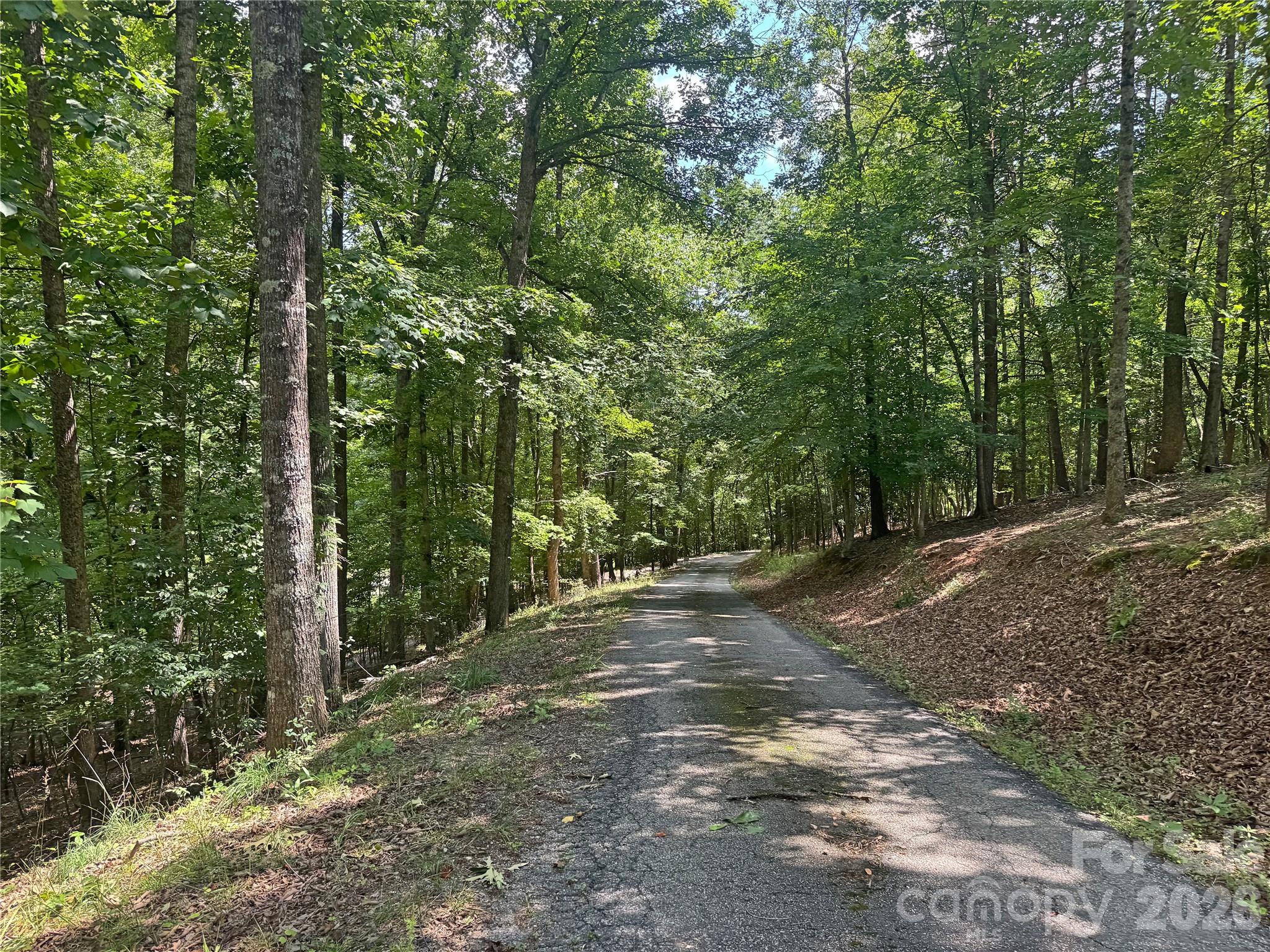 173 Croom Hollow Drive Property Photo 34