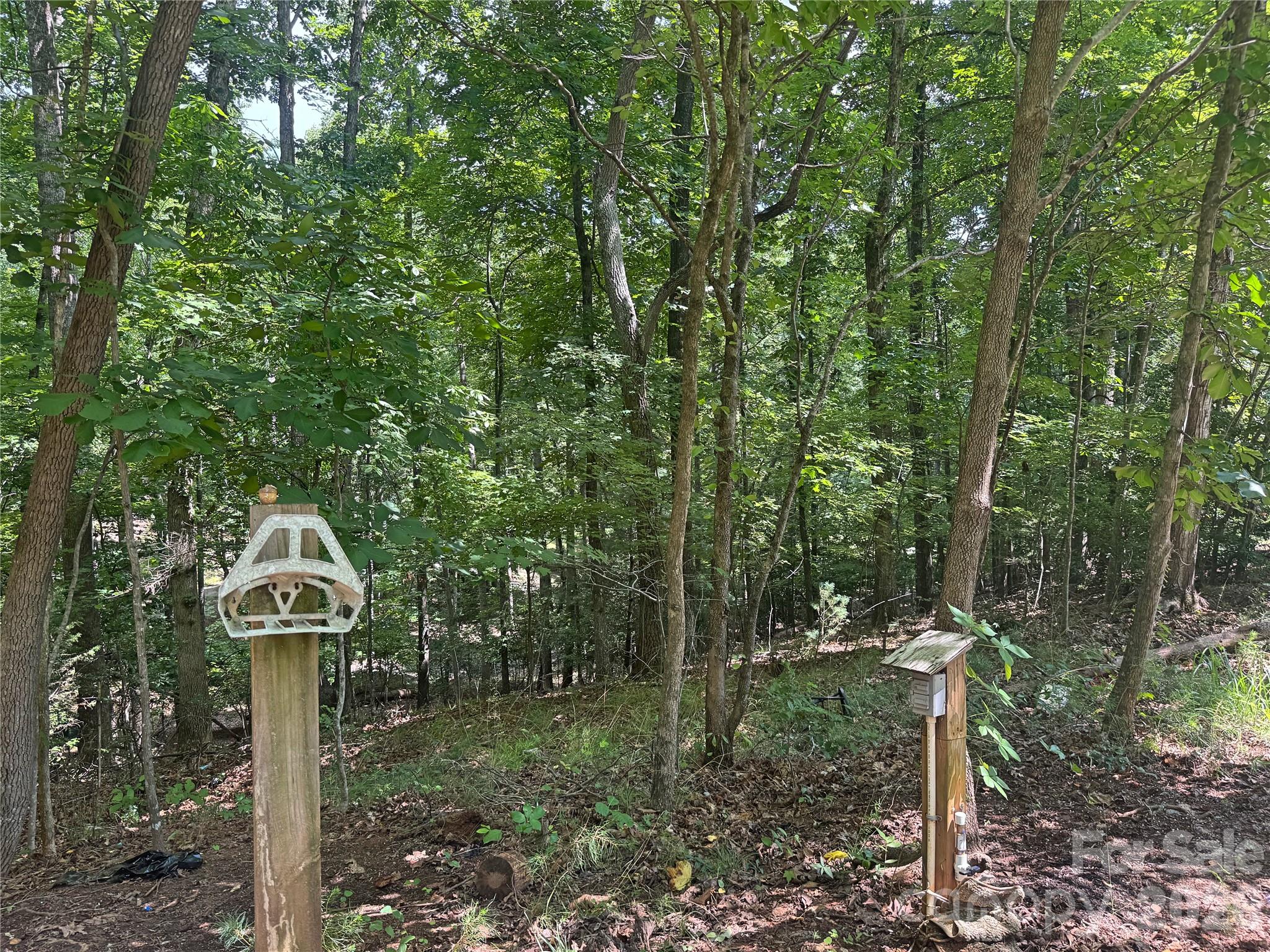 173 Croom Hollow Drive Property Photo 36