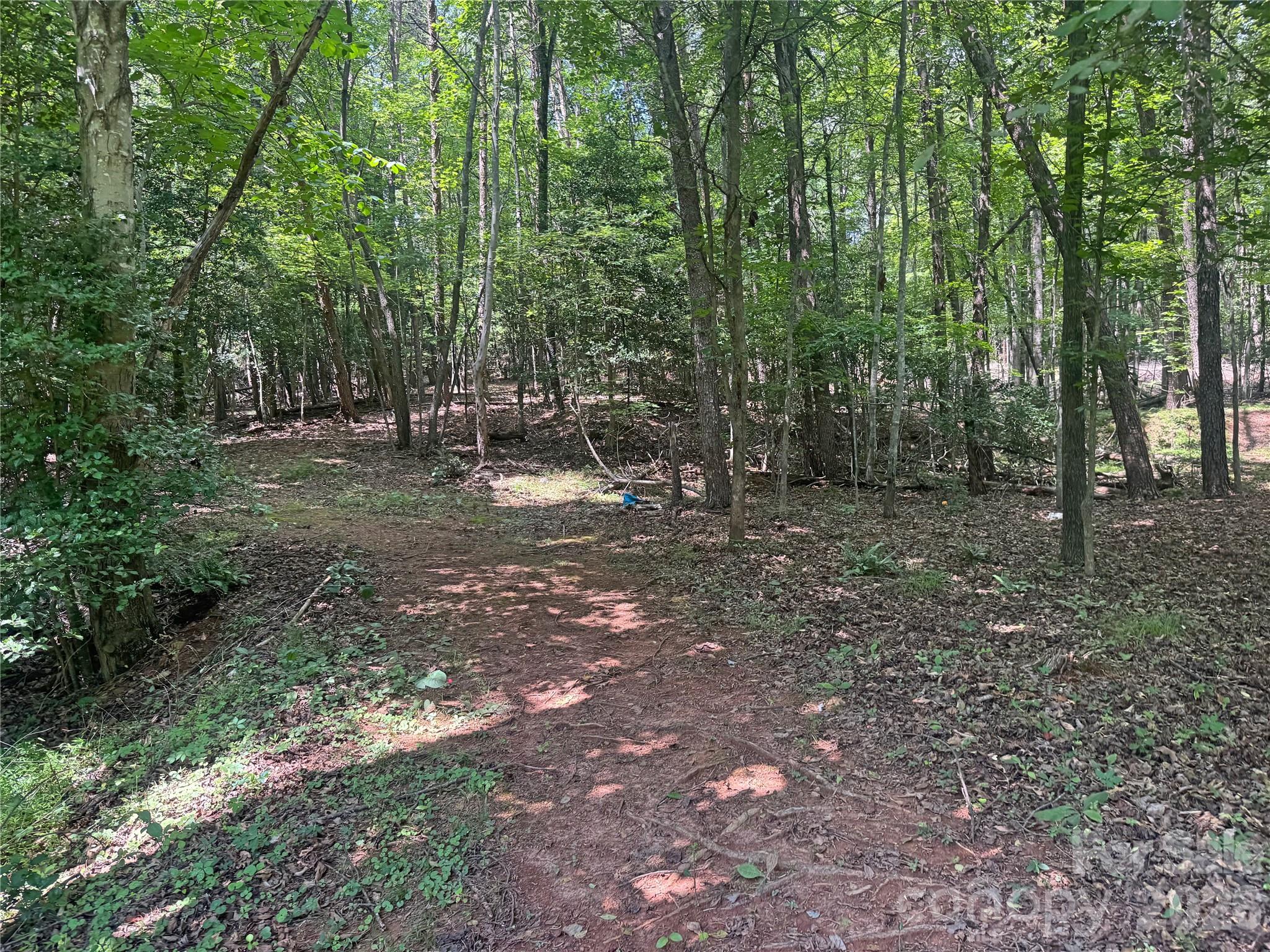 173 Croom Hollow Drive Property Photo 38
