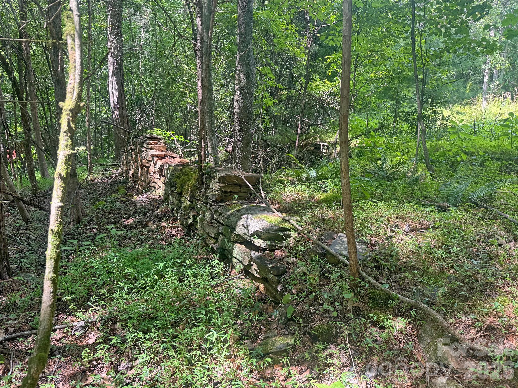173 Croom Hollow Drive Property Photo 44