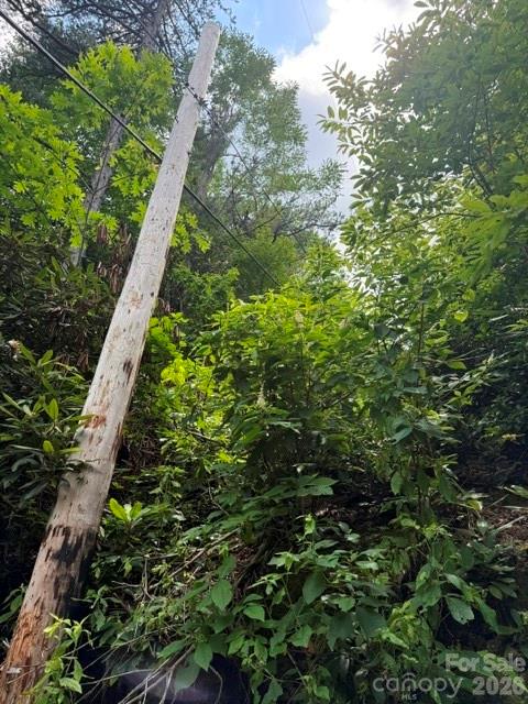 99999 Nc 9 Highway Property Photo 3