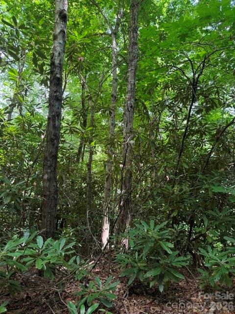 99999 Nc 9 Highway Property Photo 4