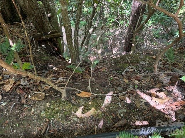99999 Nc 9 Highway Property Photo 8